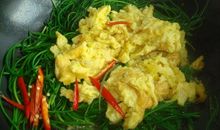 我学会了炒鸡蛋