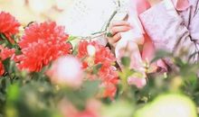 把文化当日子过