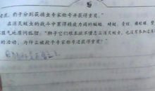 二年级寒假计划作文：寒假生活计划_350字