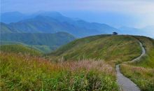 听，风吹过的声音