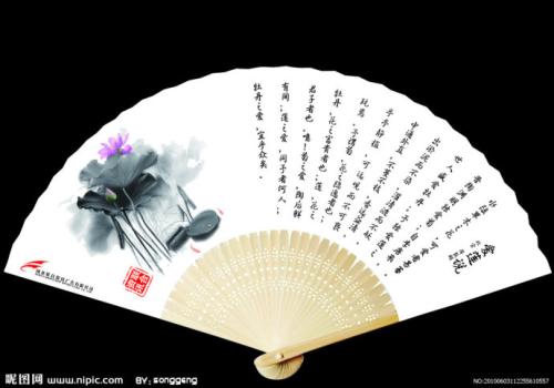我的粉丝
