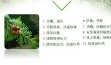 初三，让我与坦然同行