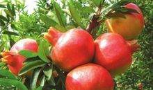 书香四季，伴我成长