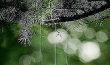 那些逝去时光里的爱