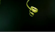 倾听春天的旋律