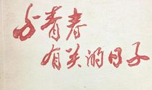 与青春有关的日子