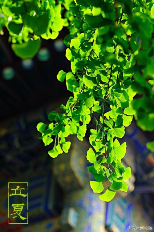 总是有我们的季节