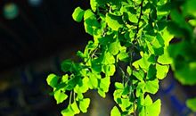 总有属于我们的季节