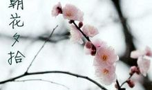 风起花落——读《朝花夕拾》