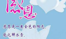 关于感恩的作文：感恩创造美好世界_800字