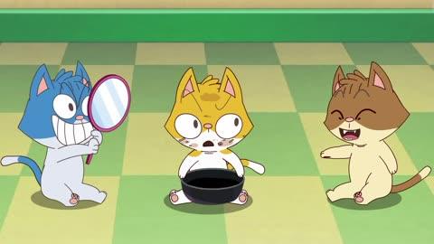 看着镜子里的小猫