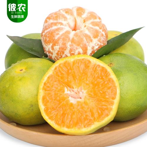 黄岩橘_1200字