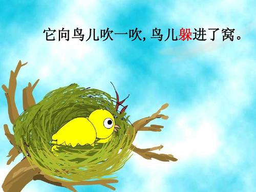 鸟和鱼
