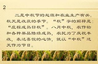 小学生中秋作文300字：中秋_350字