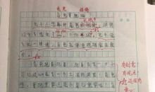 龟兔赛跑（续编）_300字