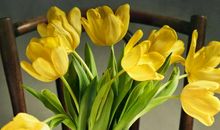 青春是一次出发