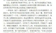 龟兔赛跑续集_450字