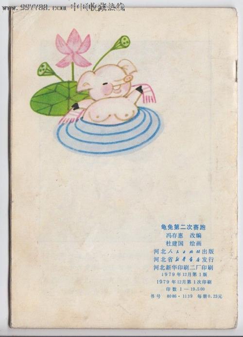 乌龟和野兔的第二种族_450字
