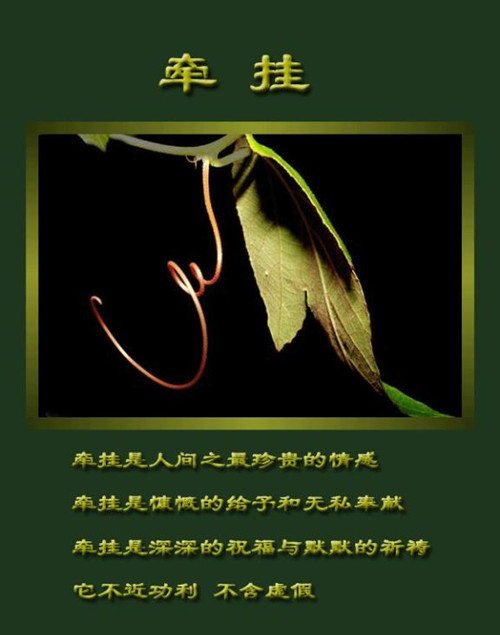 忧虑是莫名的痛苦