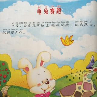 Turtle Free Race New Edition_450个单词