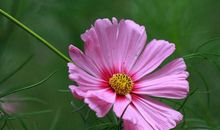 青春，就砺则砺