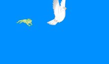 假如我是飞翔的鸽子