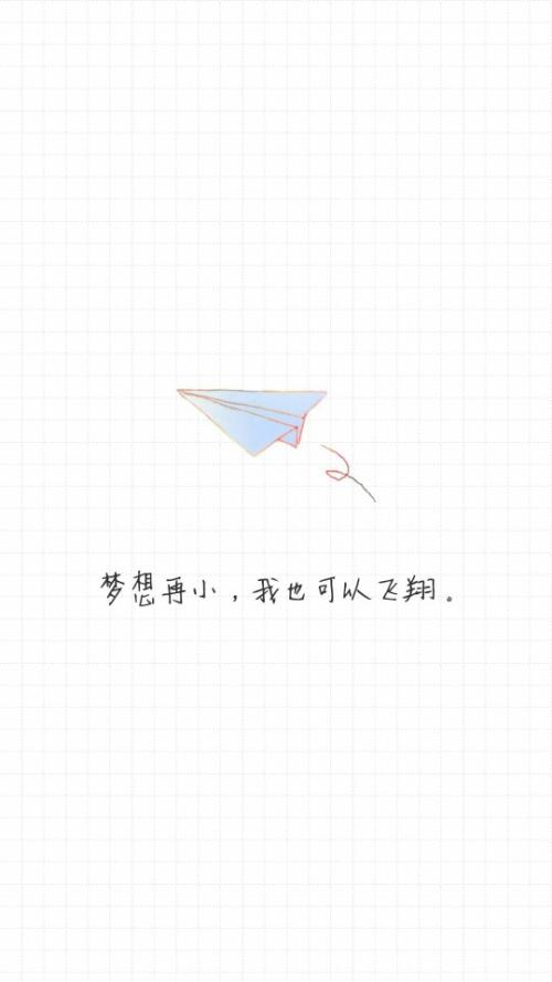 我的梦想在这里飞翔