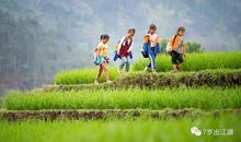 就这样慢慢地长大