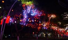 火树银花不夜天_600字