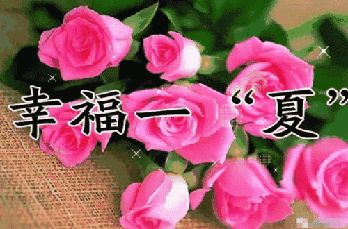 旧时光-愿夏至明天快乐_400字