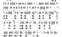 天地悠悠，网情悠悠_500字