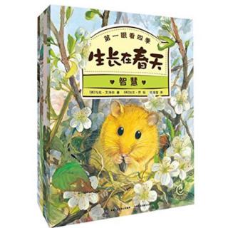 我用眼睛看四个季节