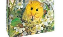 我用眼睛看四季