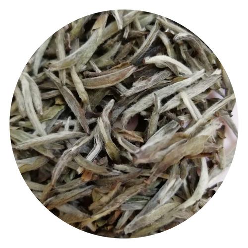 好茶令人陶醉，好书迷人