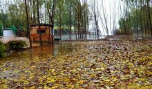 一场秋雨一场寒