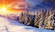 冬日里的风景线