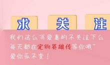 请相信友情的力量