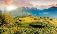 留一份忧伤在心底_900字