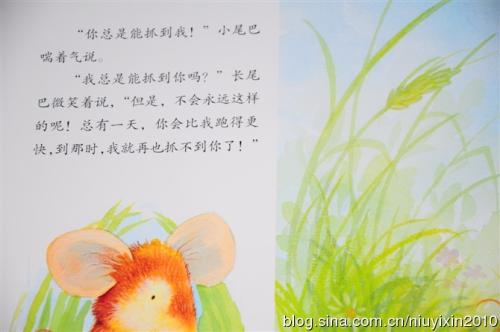 感觉成长