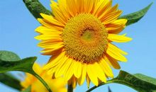 相伴一生的财富