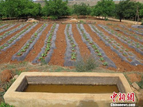 贫困新解决方案