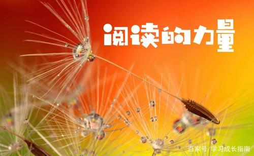 请相信阅读的力量
