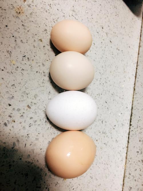 用一只手去皮