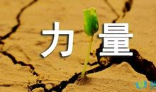 请相信友谊的力量