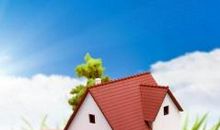 我想有个家一只小鸟的心声