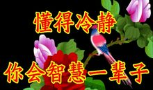 母亲，我最亲爱的朋友