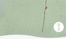 一次不寻常的经历