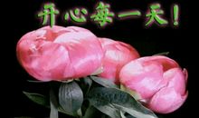 幸福原来就是一句问候