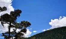 又见我亲爱的故乡