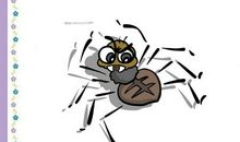 蜘蛛给我的启示